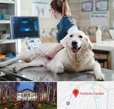 سونوگرافی حیوانات در باغ فردوس