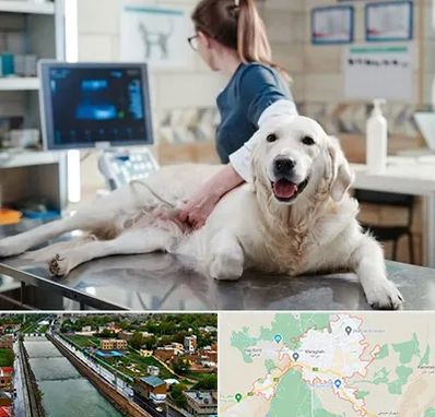 سونوگرافی حیوانات در مراغه