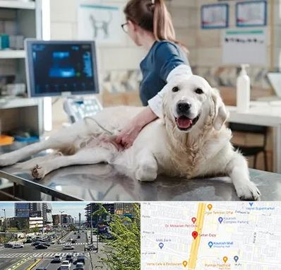 سونوگرافی حیوانات در ستاری 