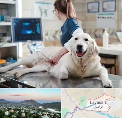 سونوگرافی حیوانات در لواسان