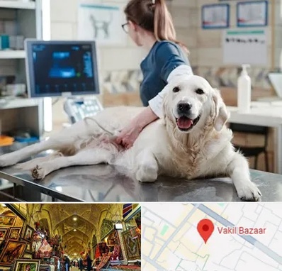 سونوگرافی حیوانات در بازار وکیل شیراز