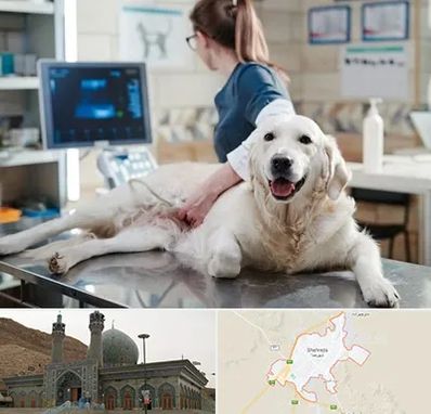 سونوگرافی حیوانات در شهرضا