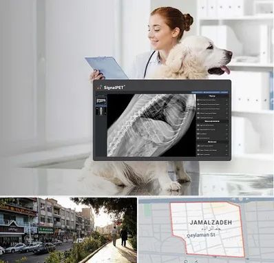 رادیولوژی حیوانات در خیابان جمالزاده