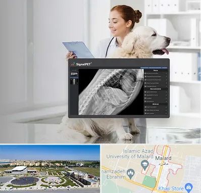 رادیولوژی حیوانات در ملارد