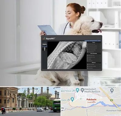 رادیولوژی حیوانات در پاکدشت