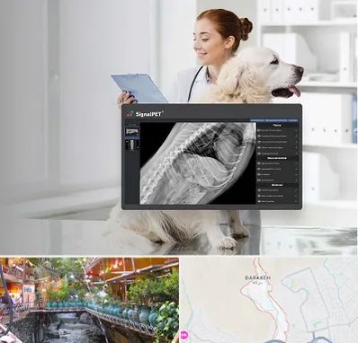 رادیولوژی حیوانات در درکه