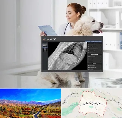 رادیولوژی حیوانات در خراسان شمالی