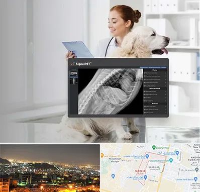 رادیولوژی حیوانات در مارلیک کرج