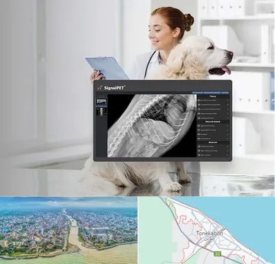 رادیولوژی حیوانات در تنکابن