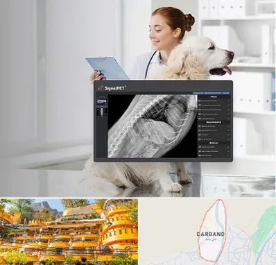 رادیولوژی حیوانات در دربند