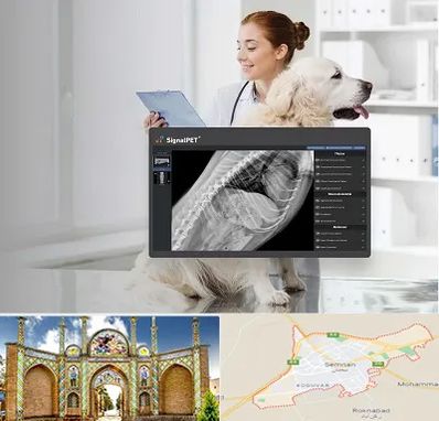 رادیولوژی حیوانات در سمنان