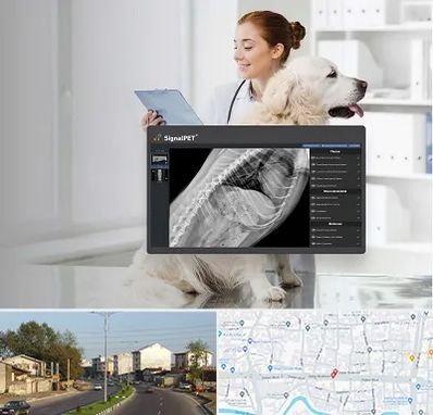 رادیولوژی حیوانات در ضیابری رشت