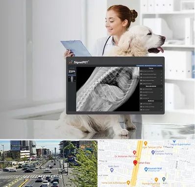 رادیولوژی حیوانات در ستاری 