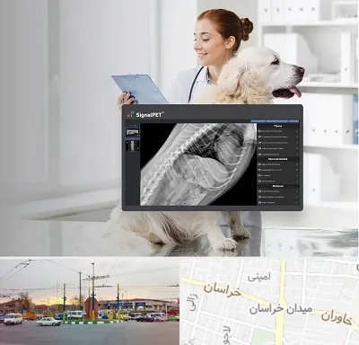 رادیولوژی حیوانات در میدان خراسان