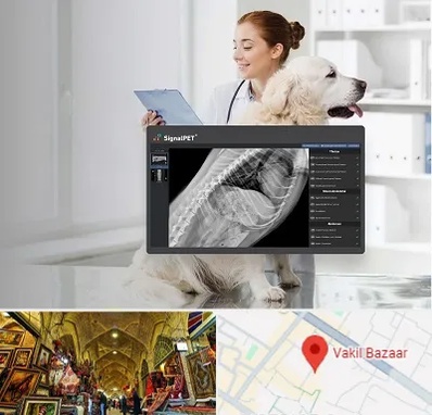 رادیولوژی حیوانات در بازار وکیل شیراز