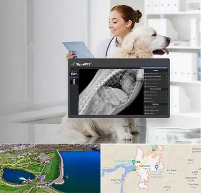 رادیولوژی حیوانات در مهاباد