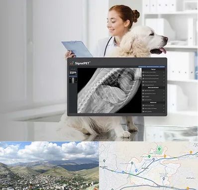 رادیولوژی حیوانات در رودهن