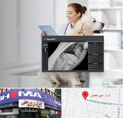 رادیولوژی حیوانات در امین حضور