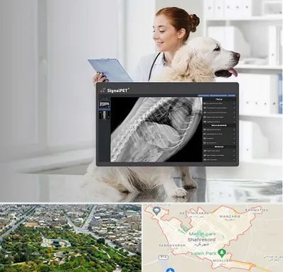 رادیولوژی حیوانات در شهرکرد