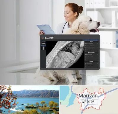 رادیولوژی حیوانات در مریوان