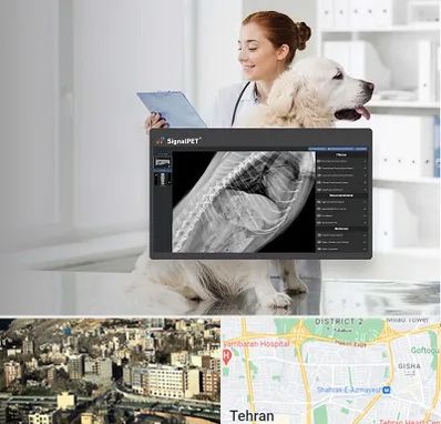 رادیولوژی حیوانات در مرزداران 