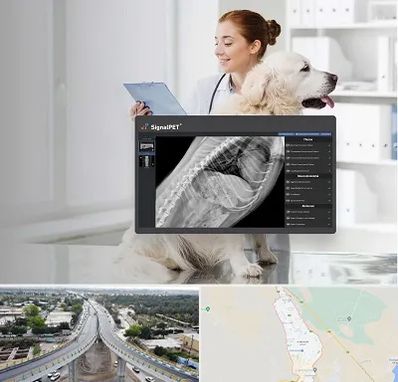 رادیولوژی حیوانات در اندیمشک