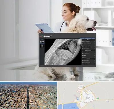 رادیولوژی حیوانات در بندر ماهشهر