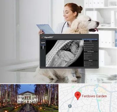 رادیولوژی حیوانات در باغ فردوس