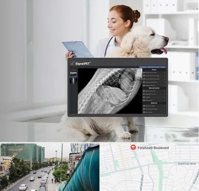 رادیولوژی حیوانات در بلوار فرحزادی