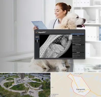 رادیولوژی حیوانات در ورامین