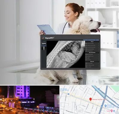 رادیولوژی حیوانات در آبرسان تبریز