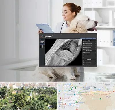 رادیولوژی حیوانات در منطقه 13 تهران 