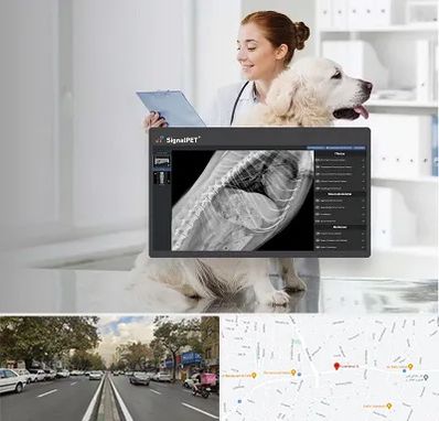 رادیولوژی حیوانات در دولت