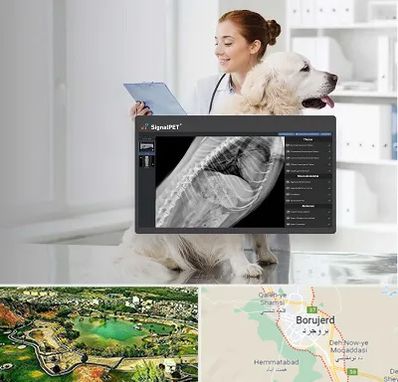 رادیولوژی حیوانات در بروجرد