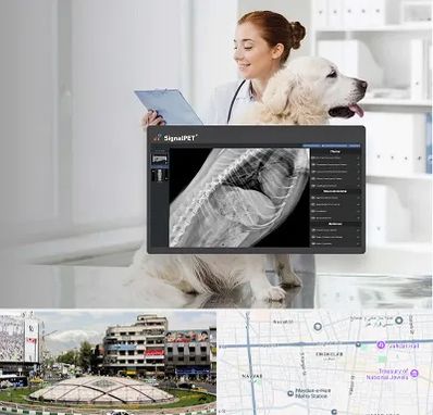 رادیولوژی حیوانات در مرکز تهران