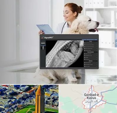 رادیولوژی حیوانات در گنبد کاووس