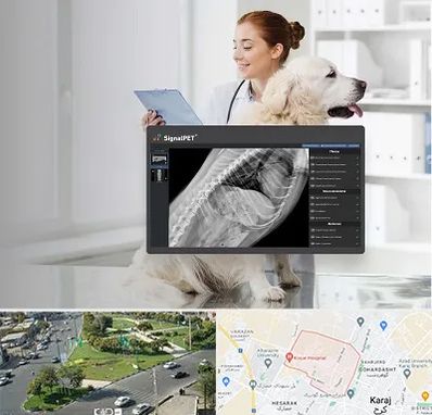 رادیولوژی حیوانات در شاهین ویلا کرج