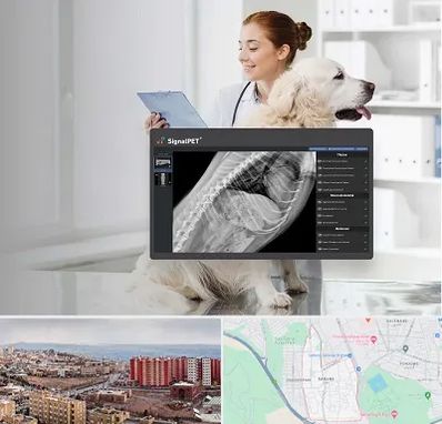 رادیولوژی حیوانات در سهند تبریز