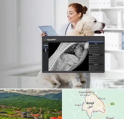 رادیولوژی حیوانات در آمل