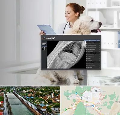 رادیولوژی حیوانات در مراغه