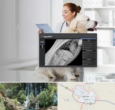 رادیولوژی حیوانات در شیروان
