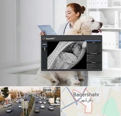 رادیولوژی حیوانات در باقرشهر