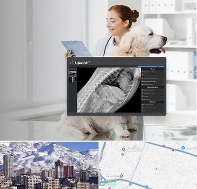 رادیولوژی حیوانات در ازگل