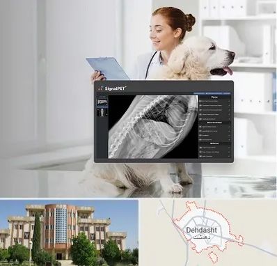 رادیولوژی حیوانات در دهدشت