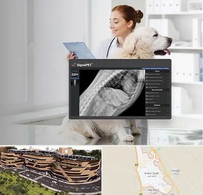 رادیولوژی حیوانات در شاهین شهر