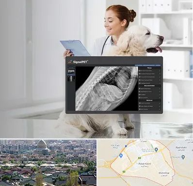 رادیولوژی حیوانات در رباط کریم