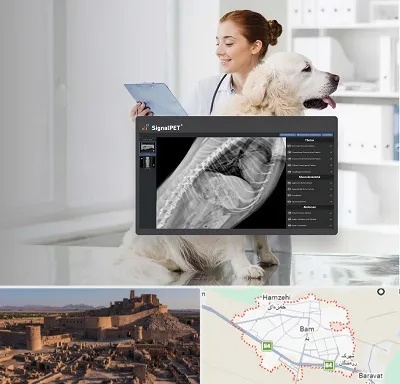 رادیولوژی حیوانات در بم