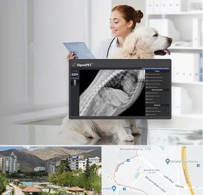 رادیولوژی حیوانات در شهر زیبا 