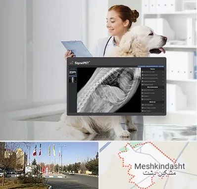 رادیولوژی حیوانات در مشکین دشت