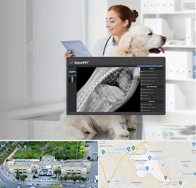 رادیولوژی حیوانات در نسیم شهر